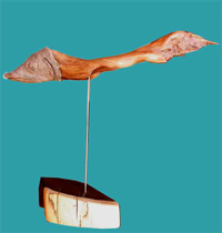 Toter Fisch aus dem Pazifik